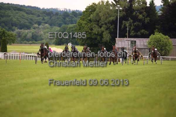 ET0Q1485 prot